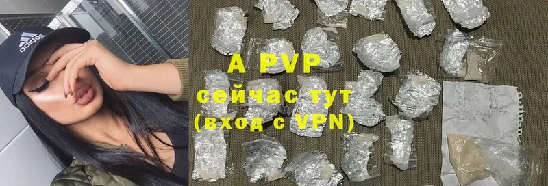 A PVP СК  Соликамск 