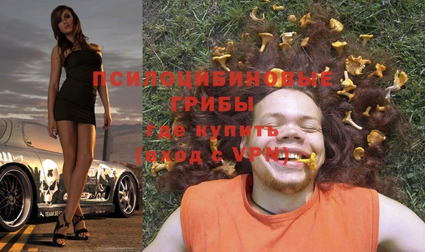 мяу мяу мука Надым