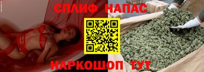 дурь Будённовск