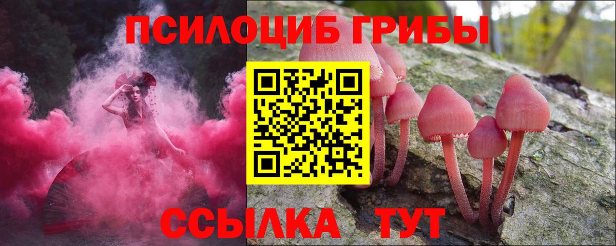 Псилоцибиновые грибы Psilocybe Соликамск