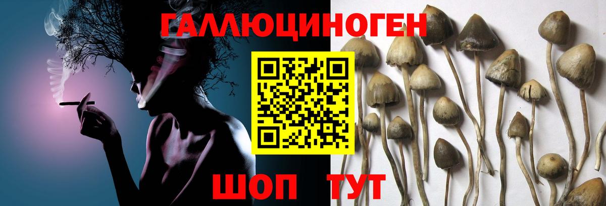 Псилоцибиновые грибы Psilocybe  Вход с VPN  Соликамск  Псилоцибиновые грибы Cubensis 