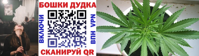 мориарти Telegram  блэк спрут   Соликамск  Шишки марихуана семена 